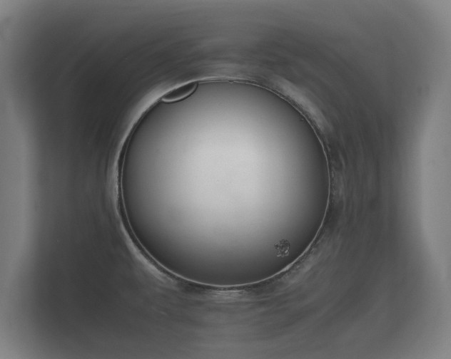 X0000112371479200908201452