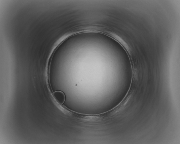 X0000112371482200908201452