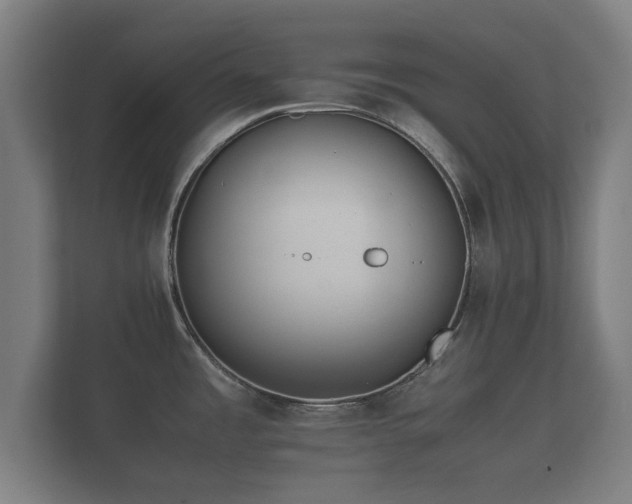 X0000112371485200908201452