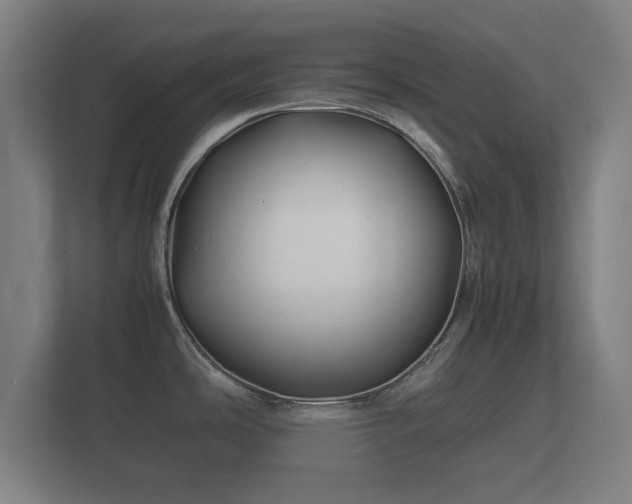 X0000112371486200908201452