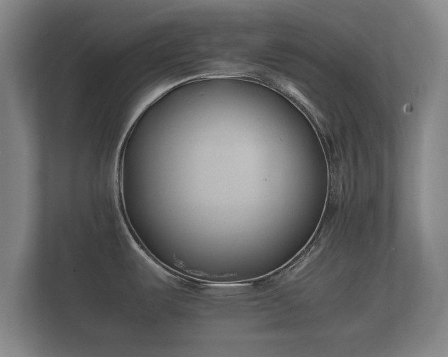 X0000112371487200908201452