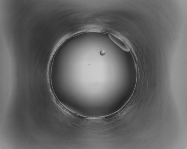 X0000112371488200908201452