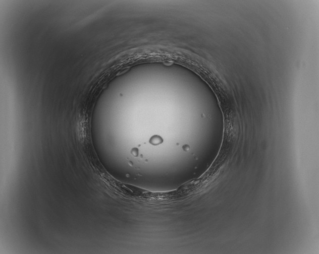 X0000112371490200908201451