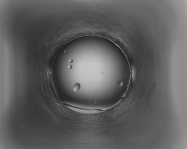 X0000112371492200908201451