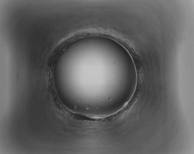 X0000112371494200908201451