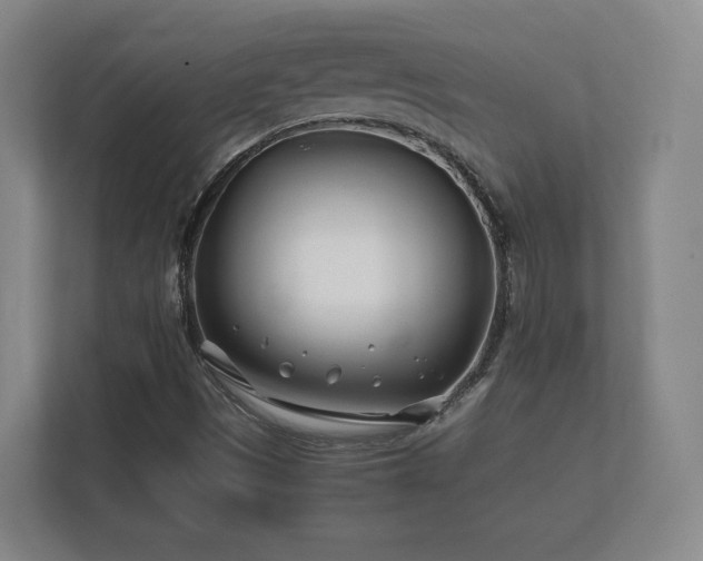 X0000112371497200908201452