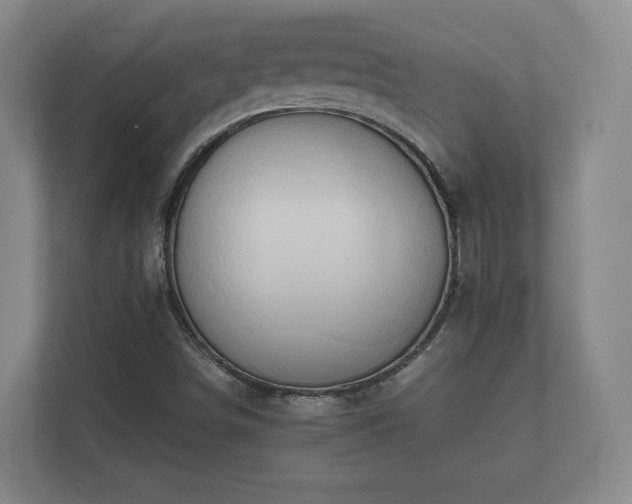 X0000112371498200908201452