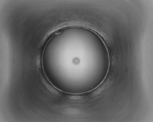 X0000112371499200908201452