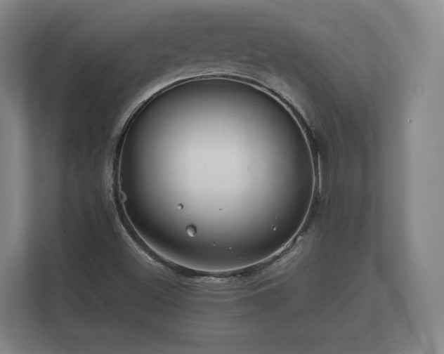 X0000112371500200908201452