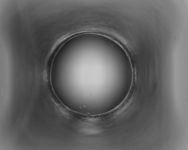 X0000112371501200908201452