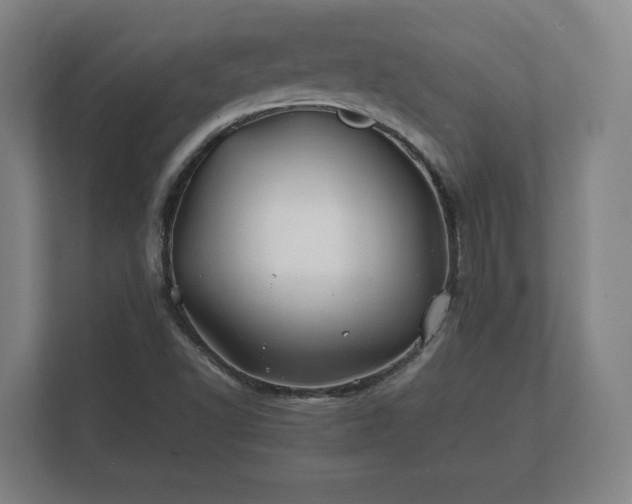 X0000112371502200908201452