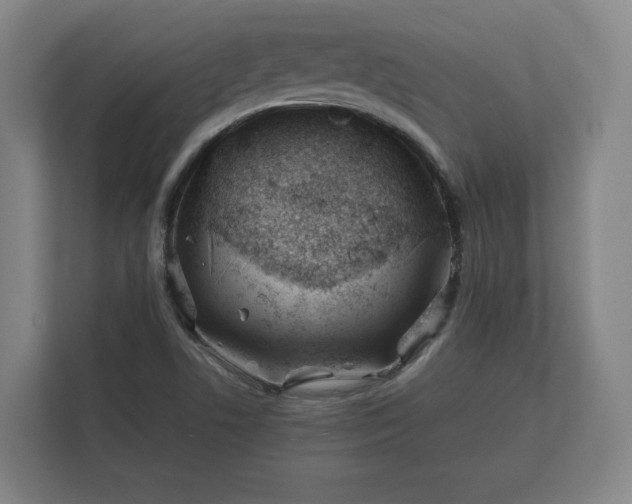 X0000112371506200908201452