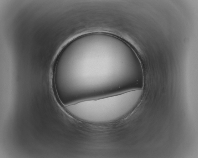 X0000112371508200908201452