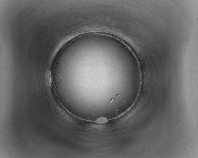 X0000112371509200908201452