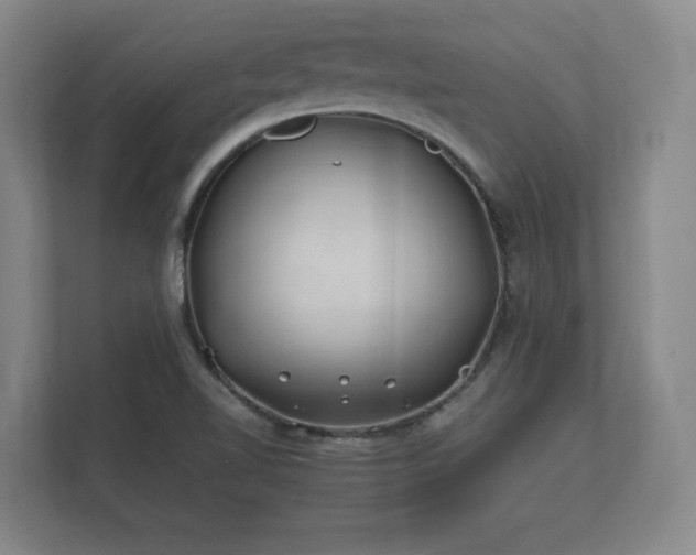 X0000112371510200908201452