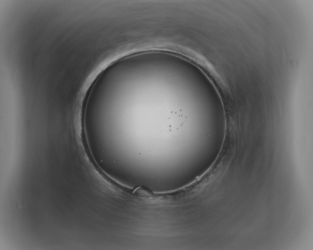 X0000112371512200908201452