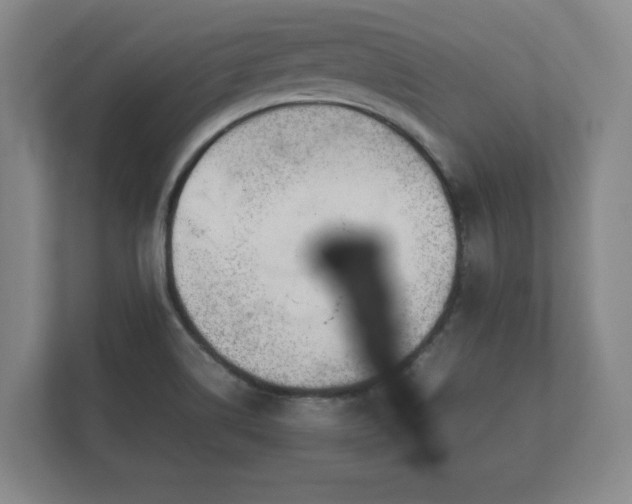 X0000112371514200908201452