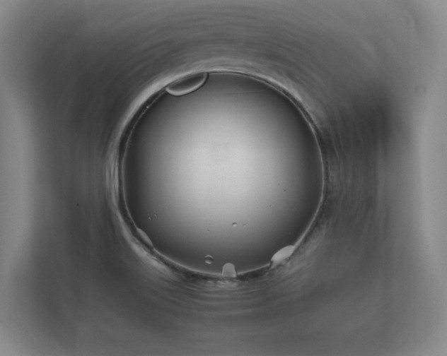 X0000112371515200908201452