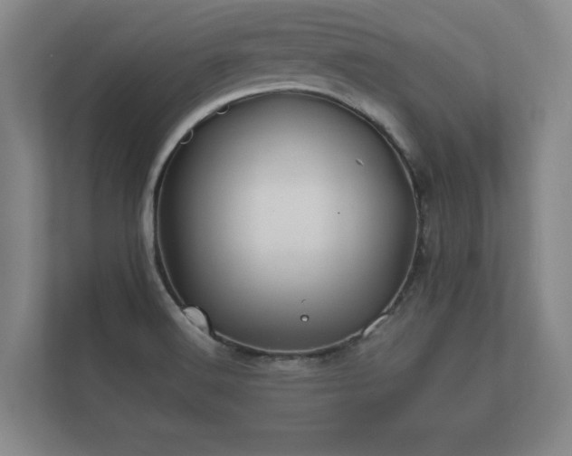 X0000112371516200908201452