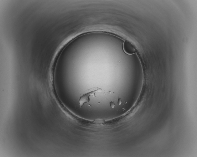 X0000112371517200908201452