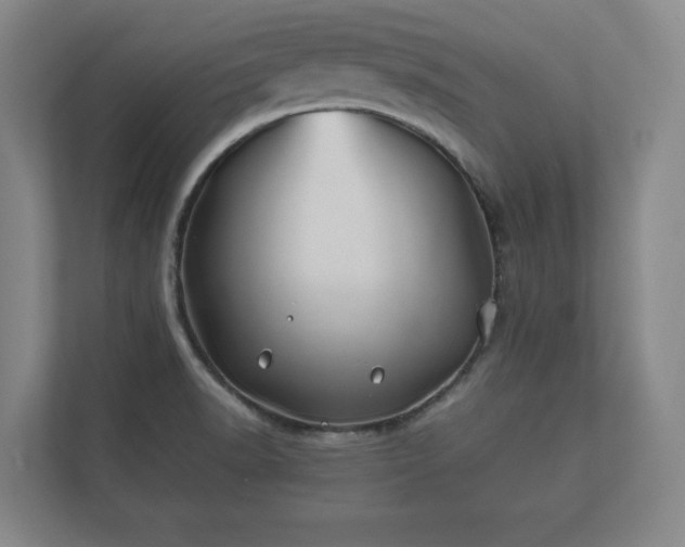 X0000112371518200908201452