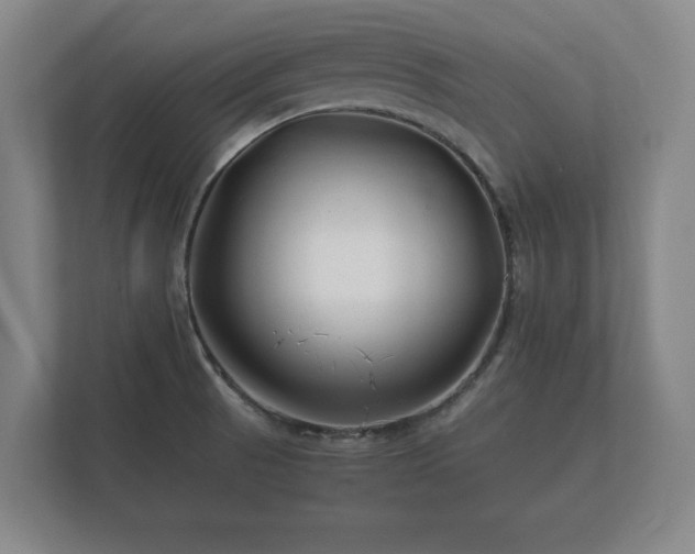 X0000112371521200908201452