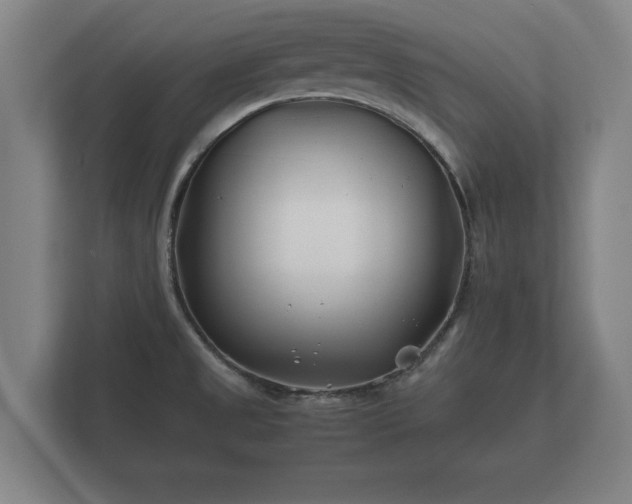 X0000112371525200908201452