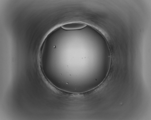 X0000112371526200908201452