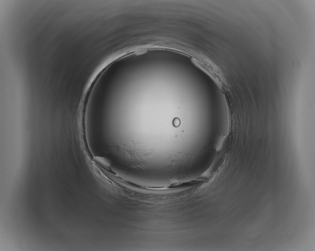 X0000112371530200908201452