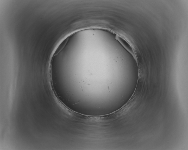 X0000112371532200908201452