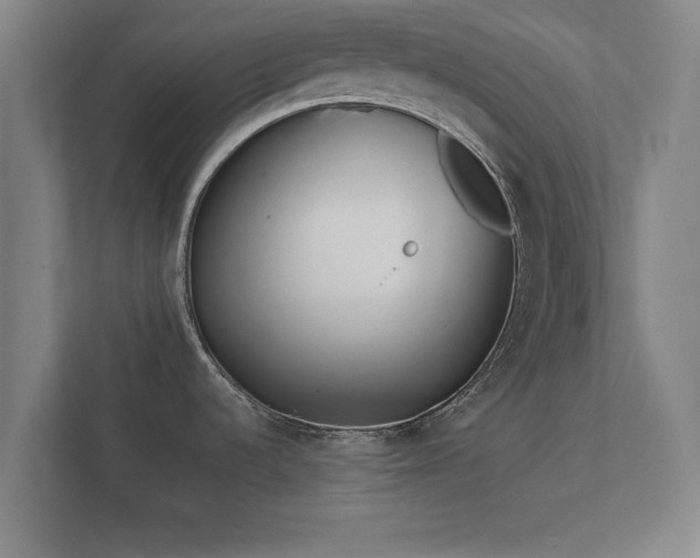 X0000112371536200908201452