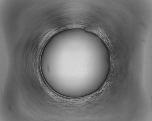 X0000112370001200908271328