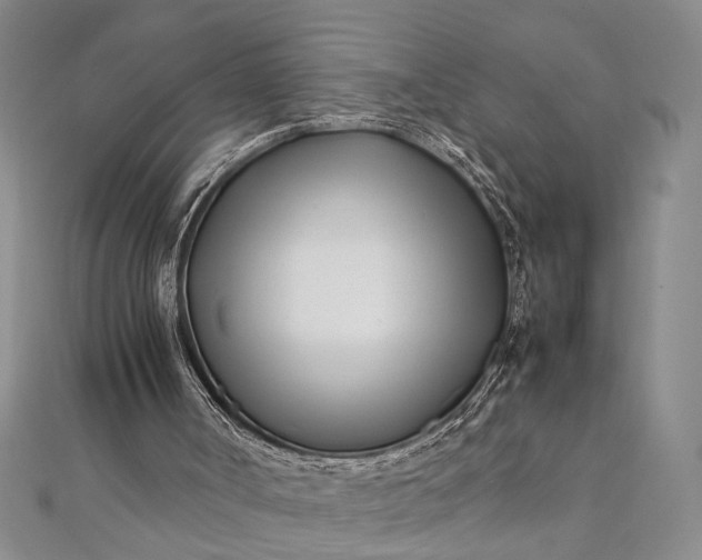 X0000112370002200908271328