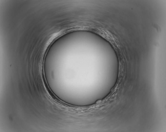 X0000112370003200908271328