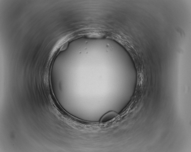 X0000112370004200908271328