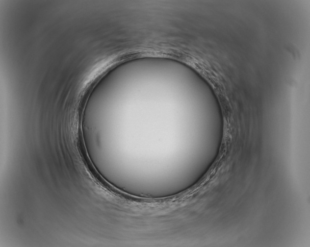 X0000112370005200908271328