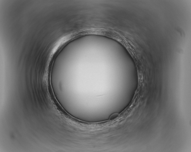 X0000112370006200908271328