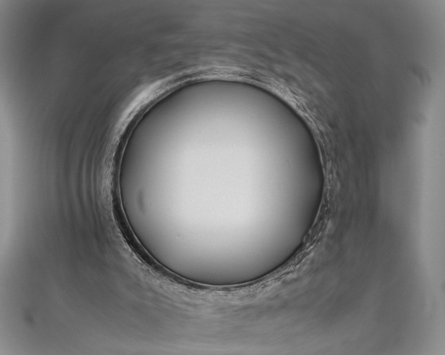 X0000112370007200908271328