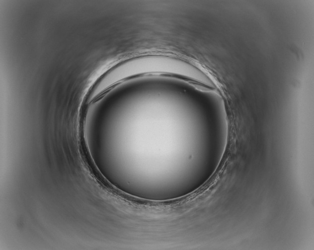 X0000112370008200908271328