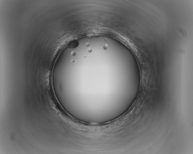 X0000112370010200908271328