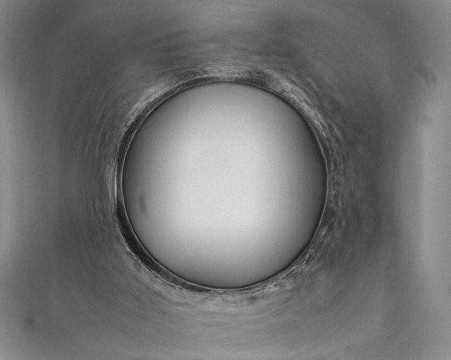 X0000112370011200908271328