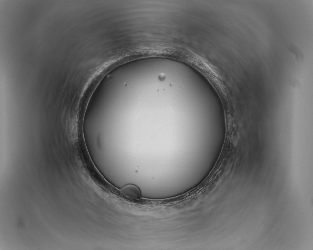 X0000112370012200908271328