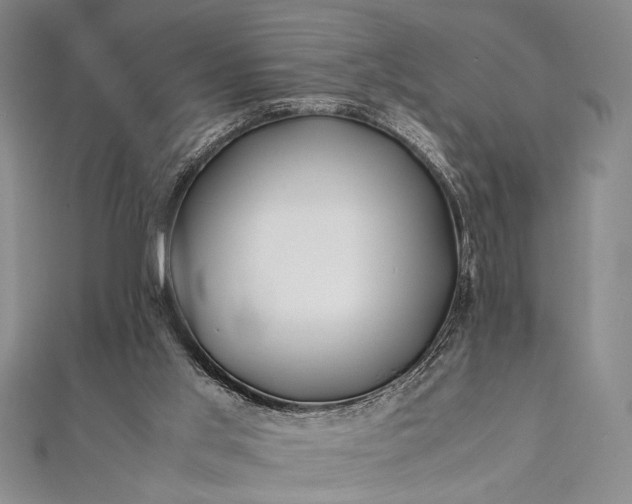 X0000112370013200908271328