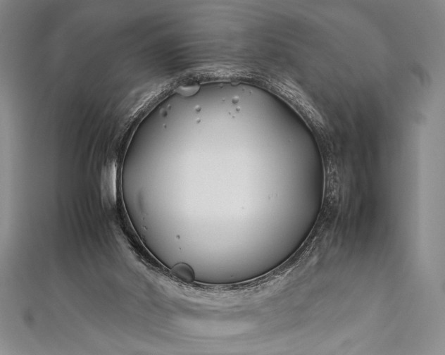 X0000112370014200908271328