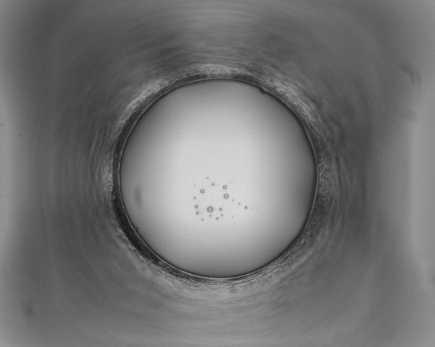 X0000112370015200908271328