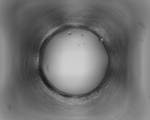 X0000112370016200908271328