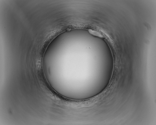 X0000112370017200908271328