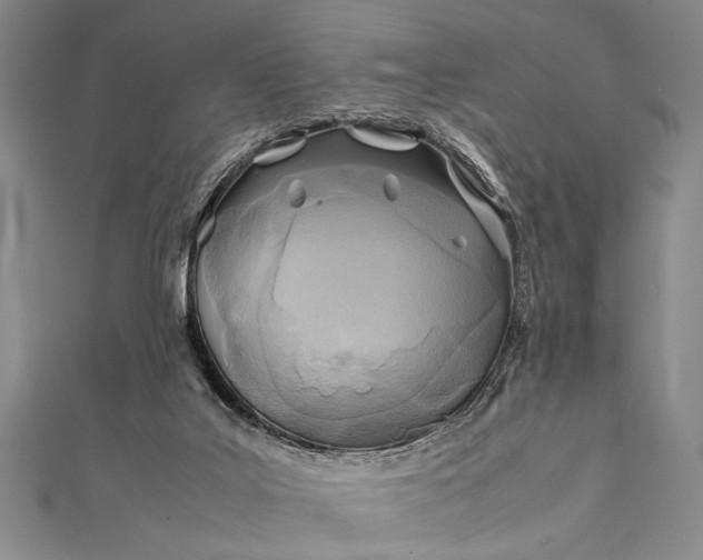 X0000112370019200908271328