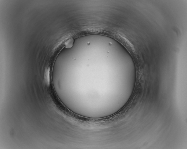 X0000112370020200908271328