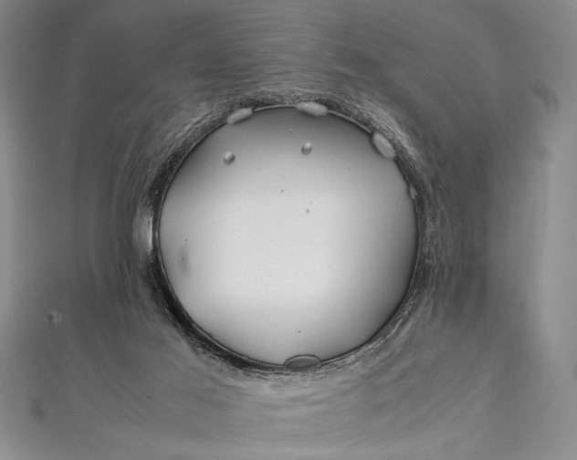 X0000112370021200908271328